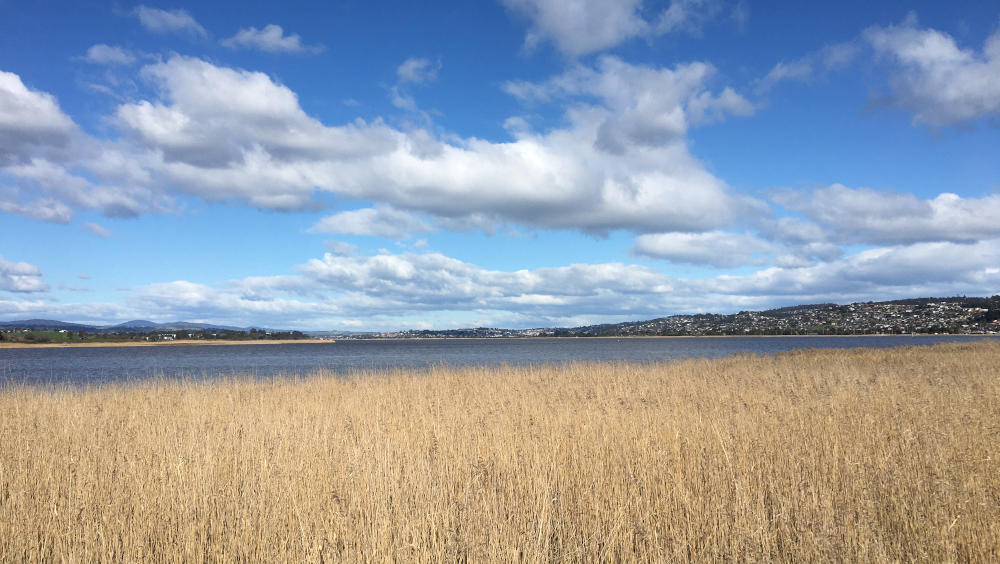 The view of the Tamar River from Tamar Island