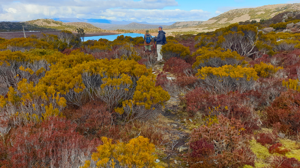 Feel on top of the world