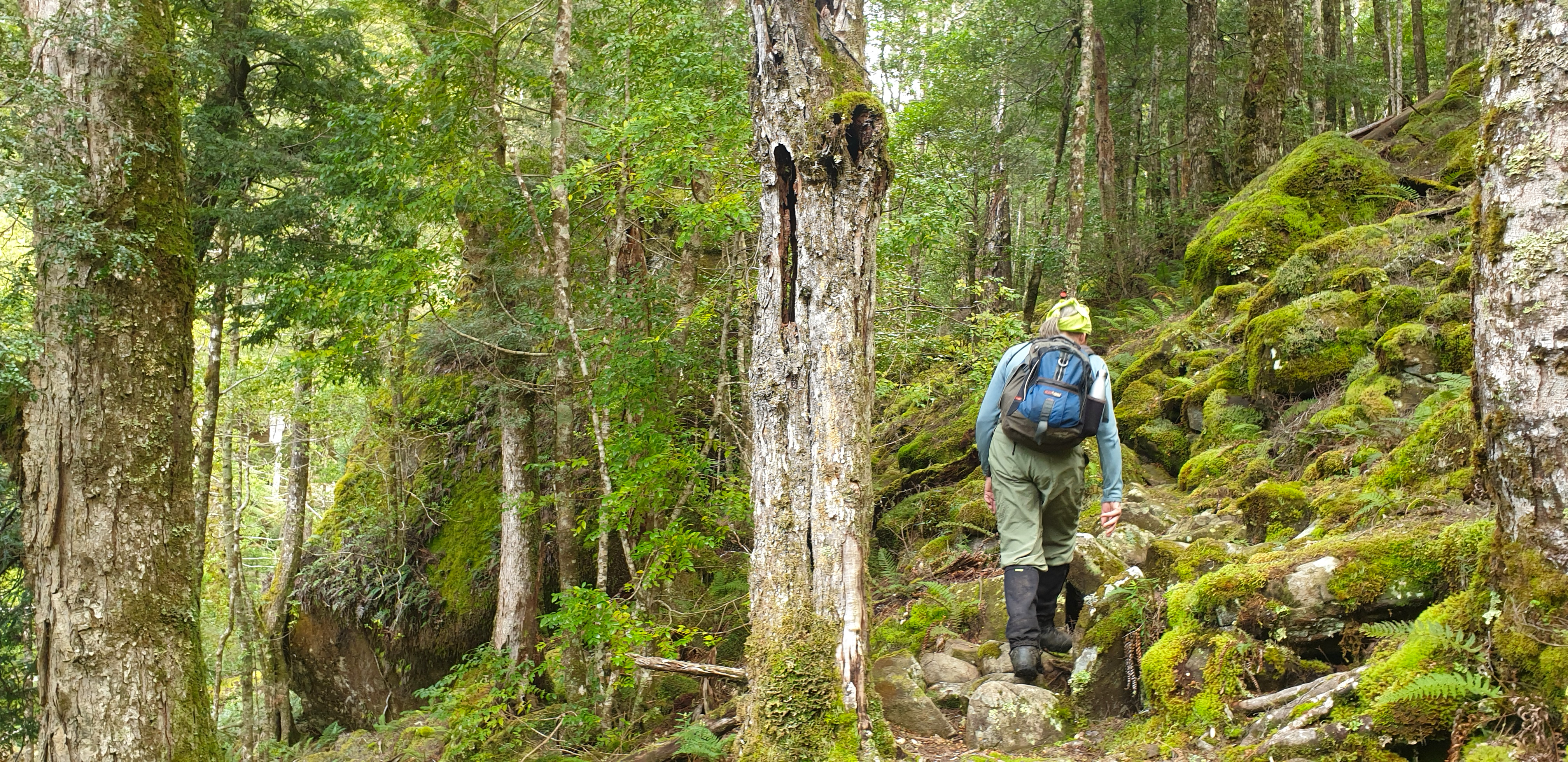 Melt into the background