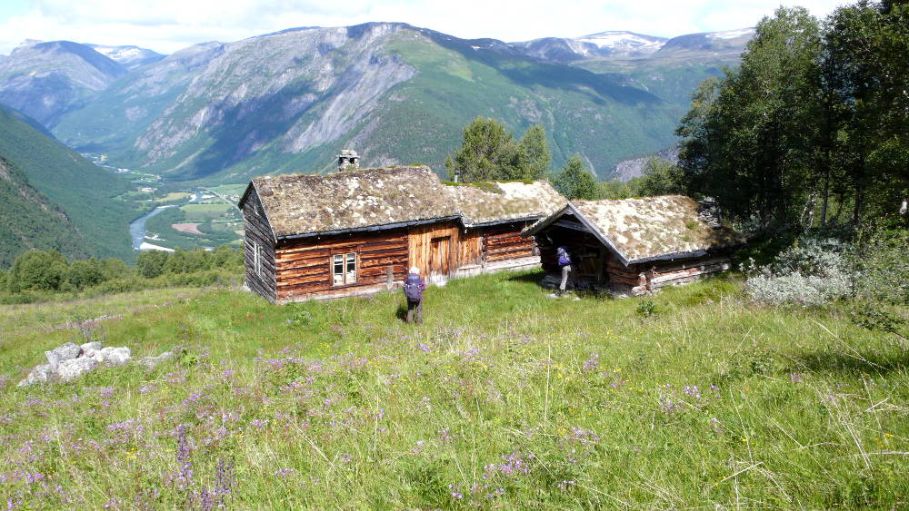 Hiking down to Gjøra in Dovrefjell-Sunndalsfjella national park