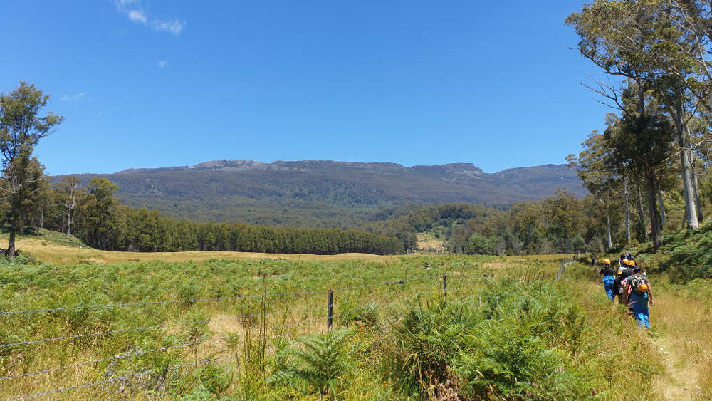 View of the Great Western Tiers / Kooparoona Niara from Sassafras Cave track